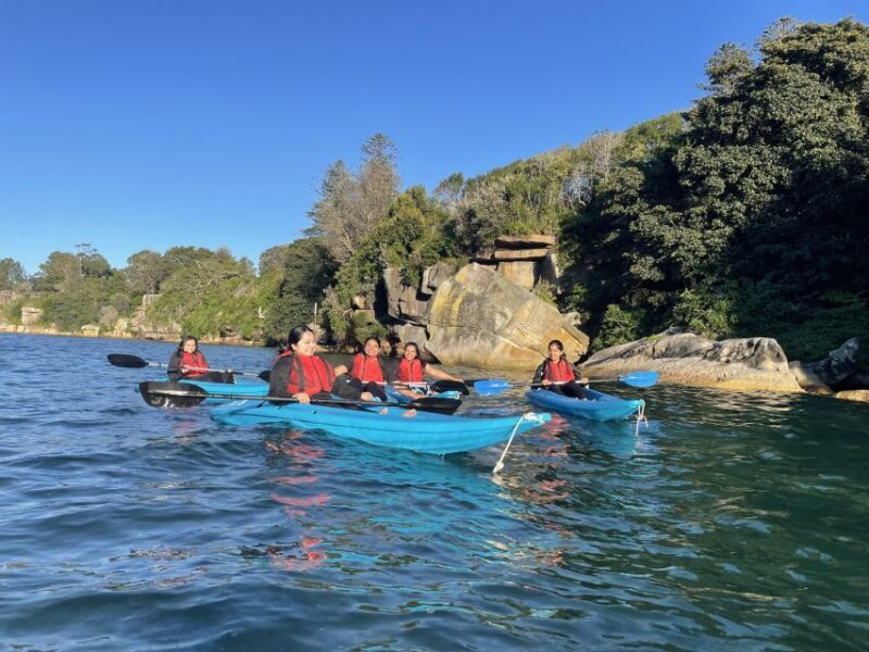 Sydney: Guided Kayak Tour of Manly Cove Beaches - Who Should Consider This Tour?