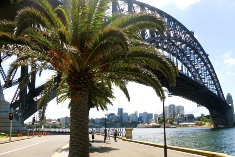 Sydney: Half-Day City Tour - Introduction: What to Expect from This Sydney Tour