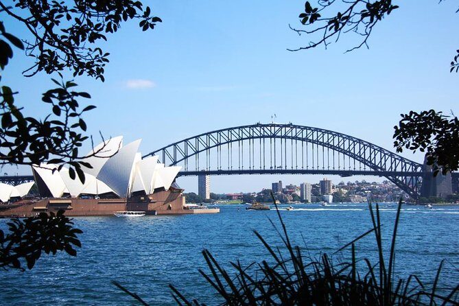 Sydney Half Day Private Tour: See Sydney Opera House and Bondi - Authenticity and Guide Expertise: What Guests Say
