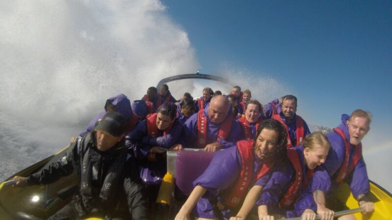 Sydney Harbour: 45-Minute Extreme Adrenaline Rush Ride - Who Will Love This?