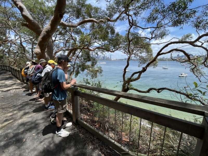 Sydney Harbour National Park 2-Hour Walking Tour - How This Tour Offers Value