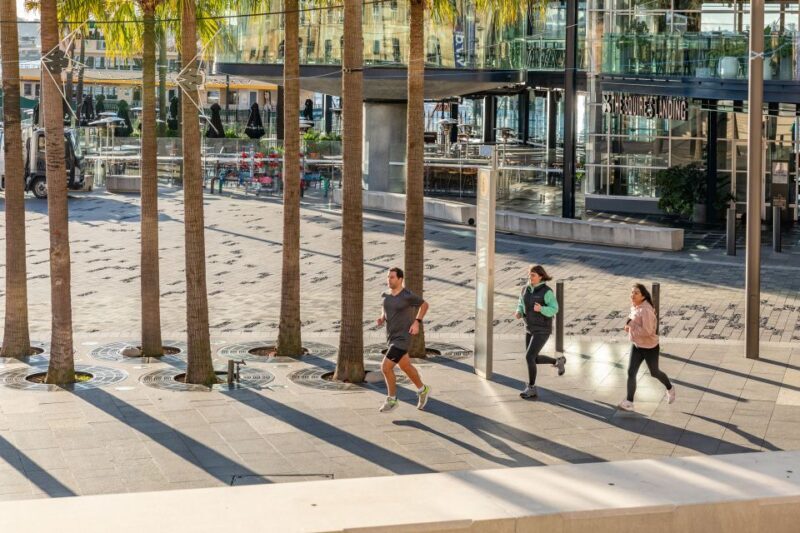 Sydney: Harbour Sights Running Tour - Key Points
