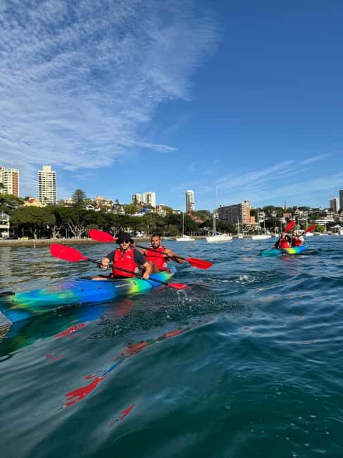 Sydney: Harbour Sunrise Kayak Tour - What Makes This Tour Special?
