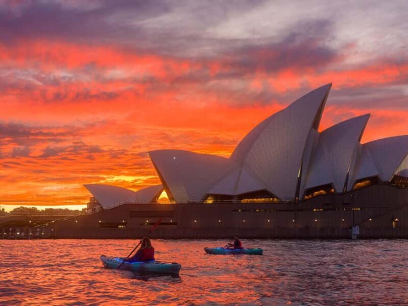 Sydney: Harbour Sunrise Kayak Tour - Price & Value