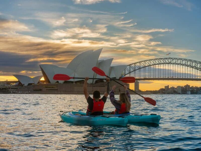 Sydney: Harbour Sunrise Kayak Tour - Common Questions & Practical Tips