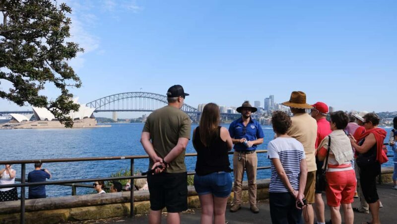 Sydney Harbour to Bondi: Small Group HalfDay Experience - Who Is This Tour Best Suited For?