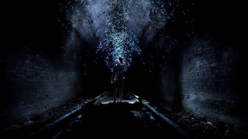 Sydney: Helensburgh Glow Worm Tunnel Tour with Transfer - Discovering the Helensburgh Glow Worm Tunnel Tour: An Honest Review