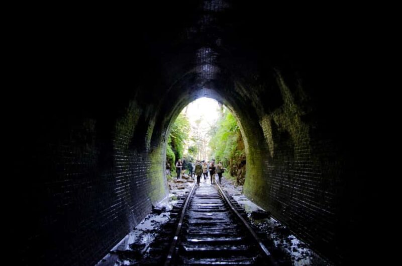 Sydney: Helensburgh Glow Worm Tunnel Tour with Transfer - Key Points
