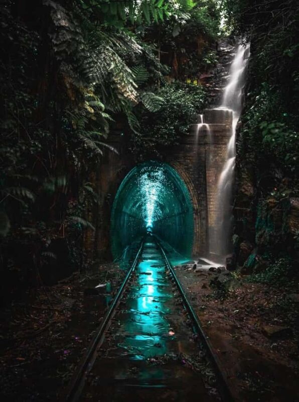 Sydney: Helensburgh Glow Worm Tunnel Tour with Transfer - The Quality of the Guides and the Experience