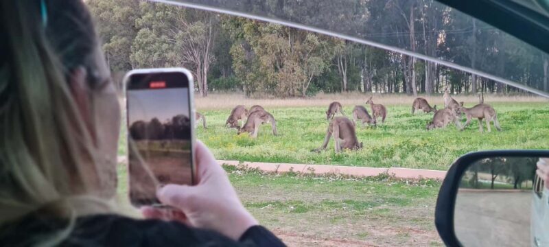 Sydney: Hunter Valley Overnight Wine Tour with Tastings - Why It’s Worth Considering  