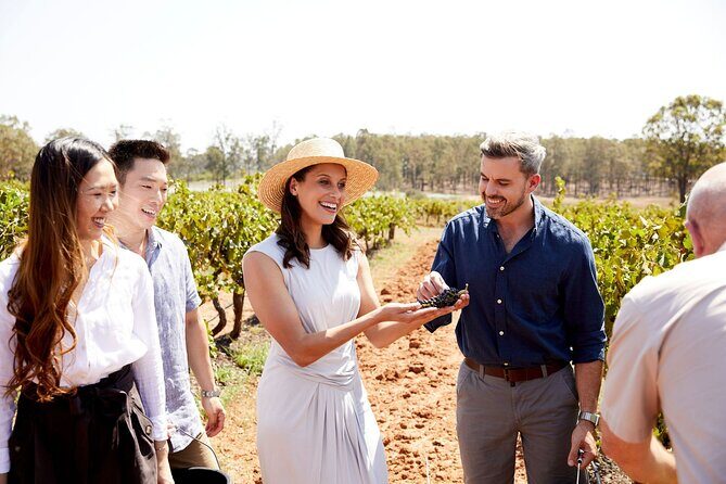 Sydney Hunter Valley Private Wine Tour with Tastings and Lunch - A Gourmet Lunch Among the Vines
