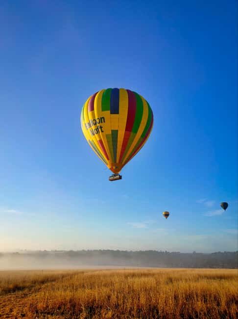 Sydney: Hunter Valley Sunrise Balloon Flight with Transfer - Key Points