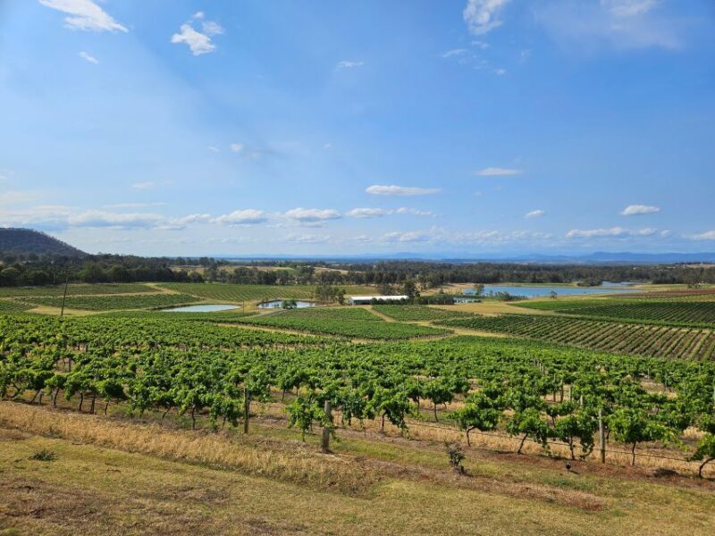 Sydney Hunter Valley Tour (Private) - An Introduction to the Sydney Hunter Valley Tour