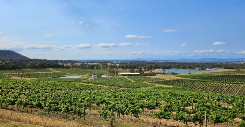 Sydney Hunter Valley Tour - Exploring the Hunter Valley with Sydney Blue Tour