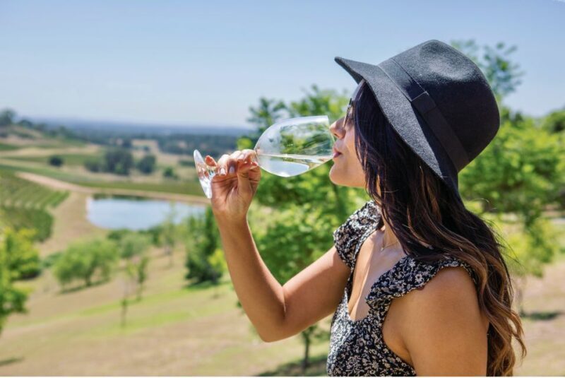 Sydney: Hunter Valley Wineries Day Trip with Food Tastings - What to Expect on the Hunter Valley Wineries Day Trip