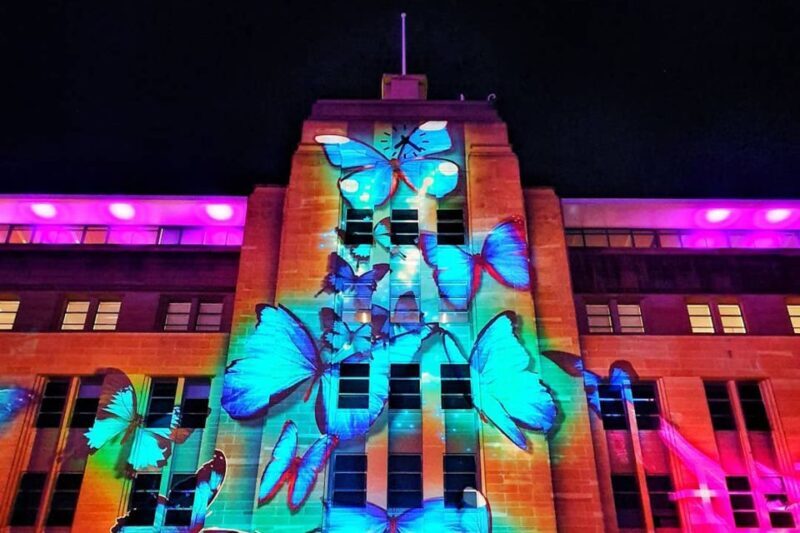 Sydney: Intimate Vivid Harbour Cruise with Canapes - The Sum Up