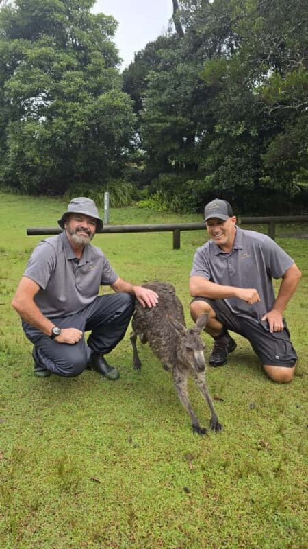 Sydney: Jervis Bay Day Trip with Dolphins, Roos & Beach Time - FAQ