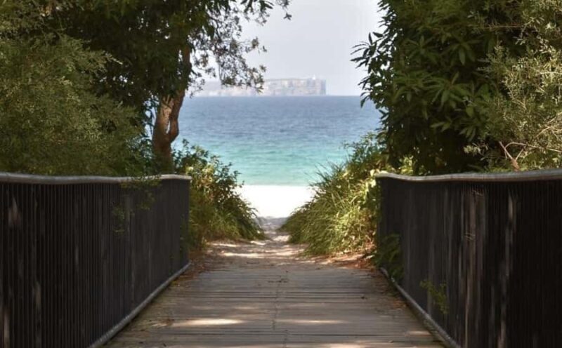 Sydney: Jervis Bay Day Trip with Dolphins, Roos & Beach Time - Final Thoughts