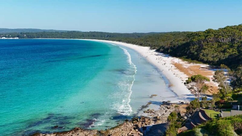 Sydney: Jervis Bay & South Coast Small Group Wild Kangaroos - What to Expect from the Jervis Bay & South Coast Tour