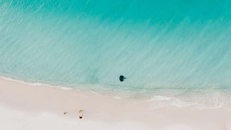 Sydney: Jervis Bay Tour with Beaches, Koalas & Kangaroos - Who Should Consider This Tour?