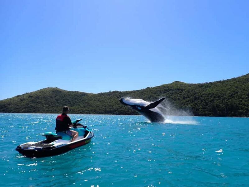 Sydney: Jet Ski Rental with Snorkeling Gear - Sydney: Jet Ski Rental with Snorkeling Gear — A Practical, Exciting Water Adventure