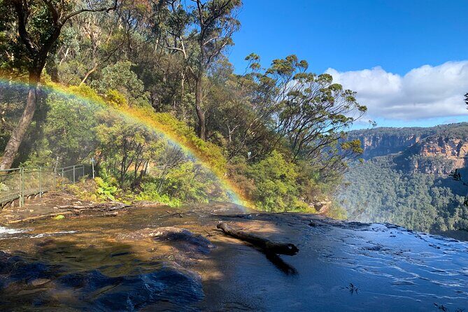Sydney: Luxury Blue Mountains Adventure as a Small Group Day Tour - An In-Depth Look at the Blue Mountains Small-Group Tour
