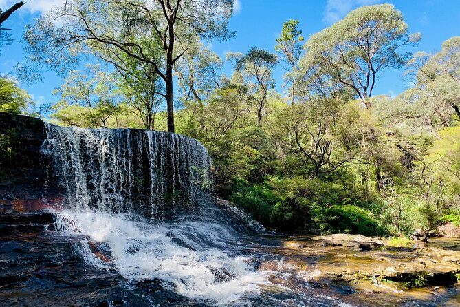 Sydney: Luxury Blue Mountains Adventure as a Small Group Day Tour - Frequently Asked Questions