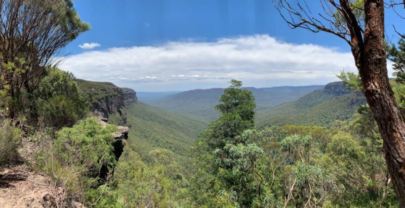 Sydney: Luxury Blue Mountains Adventure with Wentworth Falls - Exploring Wentworth Falls and the Bushwalks