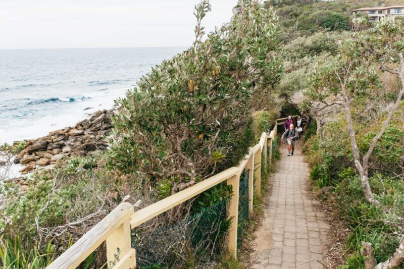 Sydney: Manly and Shelly Beach Snorkeling Tour - Key Points