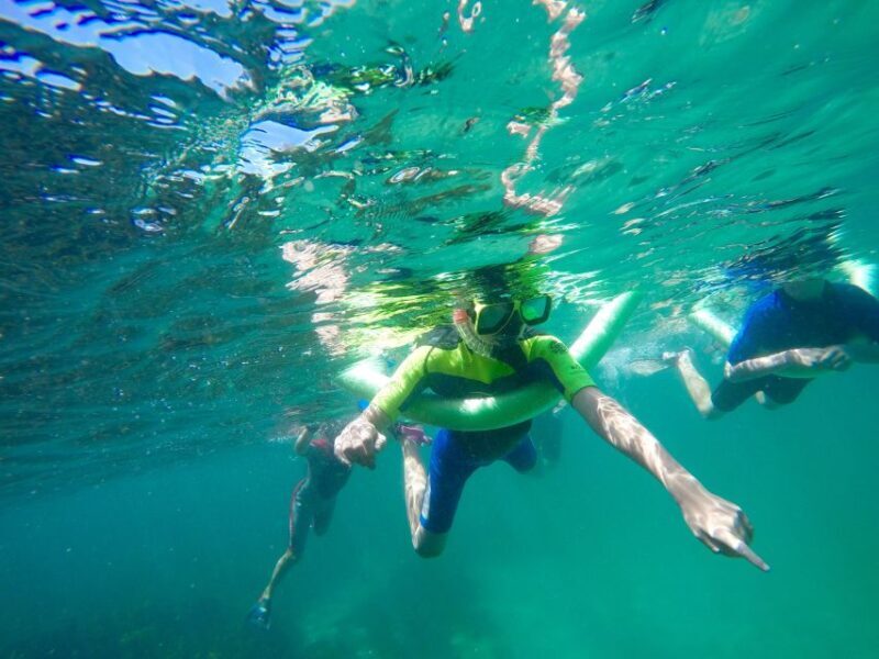 Sydney: Manly and Shelly Beach Snorkeling Tour - Value & Practical Aspects
