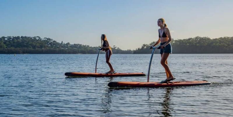 Sydney: Narrabeen Lagoon Sunrise SUP and Breakfast - What to Expect from the Narrabeen Lagoon Sunrise SUP Experience