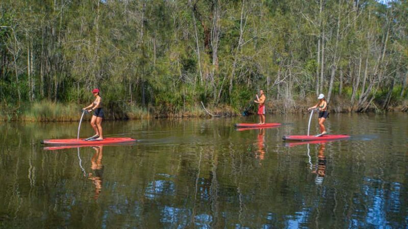 Sydney: Narrabeen Lagoon SUP Tour with Instructor - Key Points
