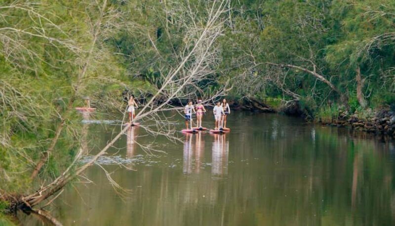 Sydney: Narrabeen Lagoon SUP Tour with Instructor - Final Thoughts: Is It Worth It?