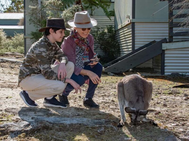 Sydney: Nature and Wildlife - Australia in One Day - The Value of the Tour