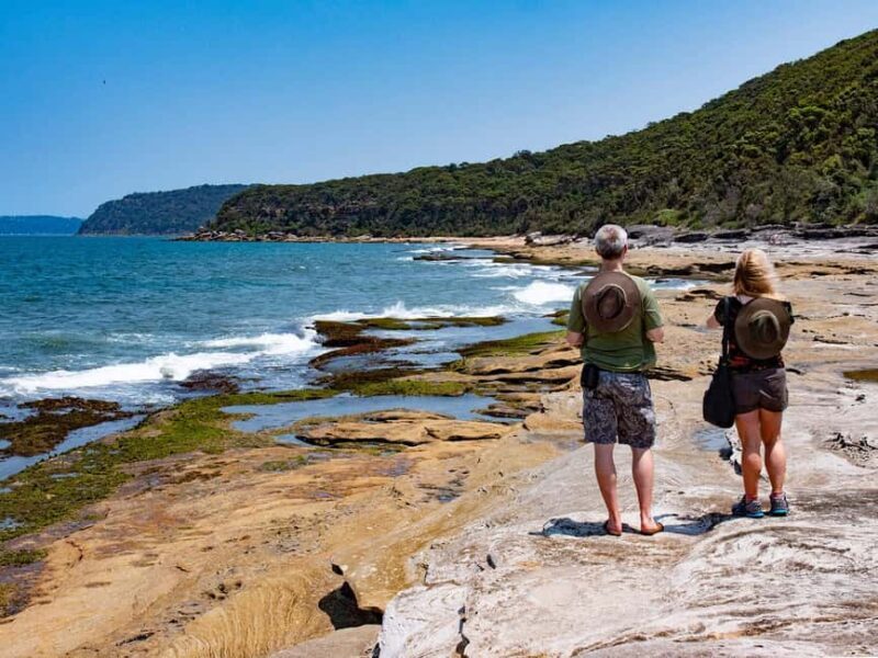 Sydney: Nature and Wildlife - Australia in One Day - In The Sum Up