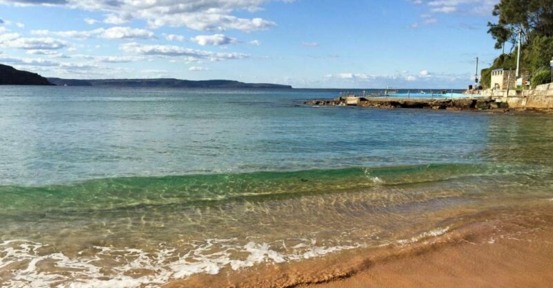 Sydney: Northern Beaches and Ku-ring-gai National Park Tour - An In-Depth Look at the Northern Beaches & Ku-ring-gai National Park Tour