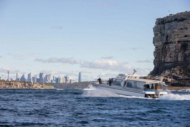 Sydney: Ocean Whale Watching Experience - Additional Practical Details