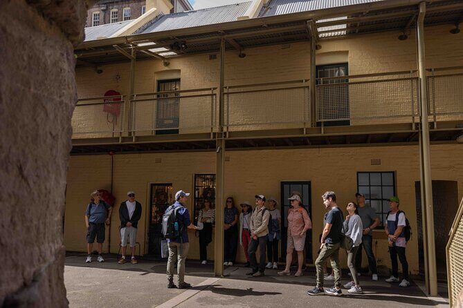 Sydney Origin Story Walk in The Rocks - Why This Tour Offers Great Value