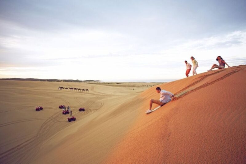 Sydney: Port Stephens Dolphin Cruise & Sandboarding Day Trip - Key Points