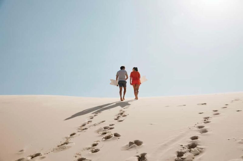 Sydney: Port Stephens Dolphin Watching & Sand Dunes Day Tour - Key Points