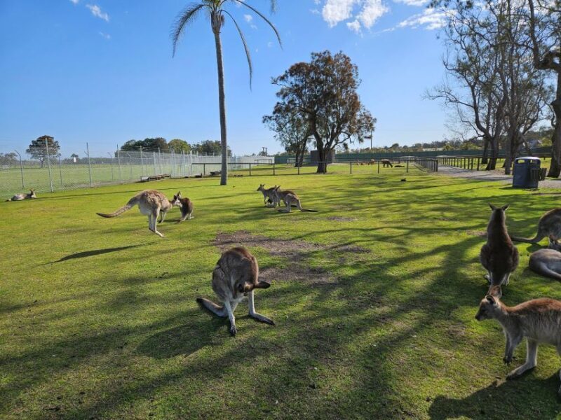 Sydney Port stephens (Private) - The Sum Up