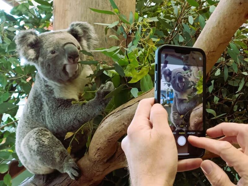 Sydney: Private Blue Mountains, Waterfalls, Walks & Meals - Discover a World Heritage Region Without the Crowds