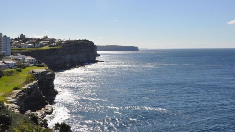 Sydney: Private Half-Day Sightseeing Tour - Why This Tour Offers Great Value