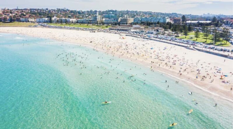 Sydney Private Half Day Tour: Icons, Beaches & History - Concluding Thoughts: Who Should Consider This Tour?