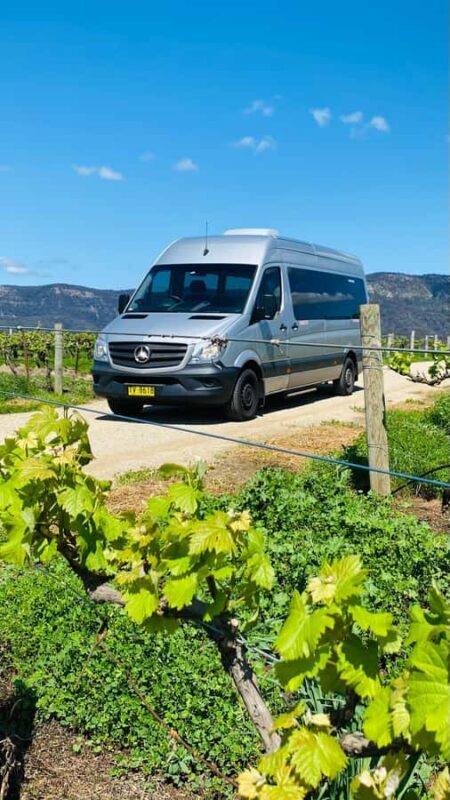 Sydney: Private Hunter Valley Premium Wine Tasting Luxe Tour - Exploring the Hunter Valley: An Authentic Wine Region