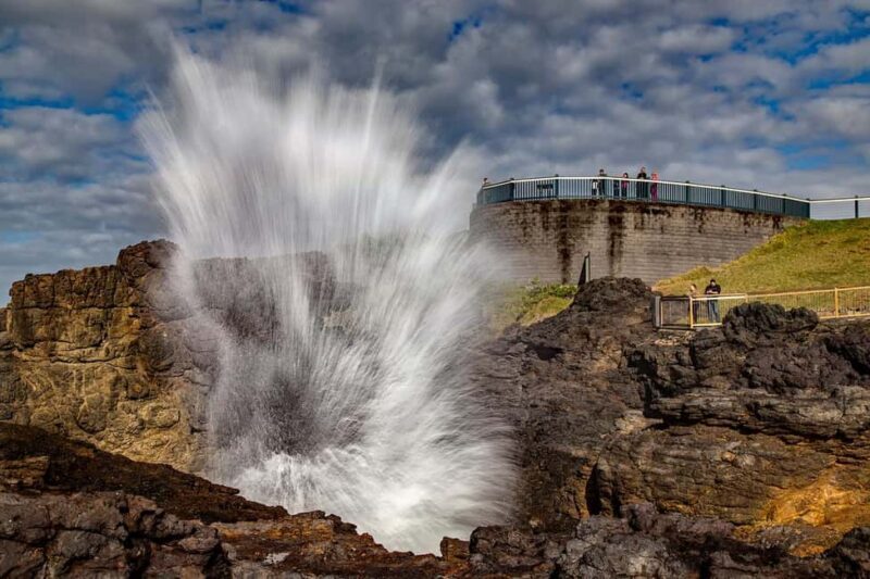 Sydney: Private South Coast, Highlands and Kiama Tour - Practical Details and What’s Included