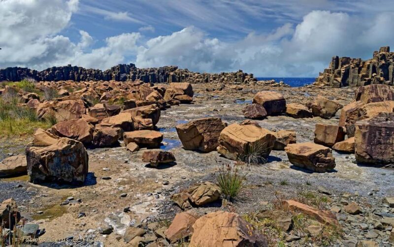 Sydney: Private South Coast, Highlands and Kiama Tour - FAQ
