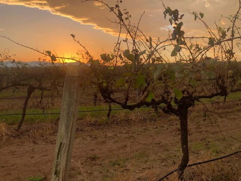 Sydney: Private Wine tour to Hunter & Wollombi Valley - Final Thoughts