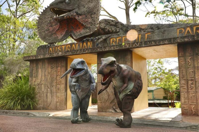 Sydney: Reptile Park and Avoca Beach Day Trip with Entry - Discovering the Australian Reptile Park