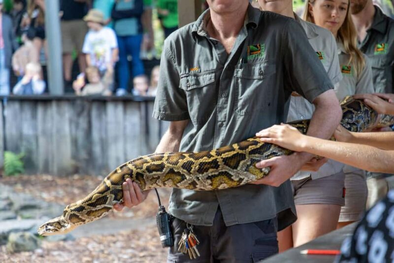 Sydney: Reptile Park and Avoca Beach Day Trip with Entry - Introduction